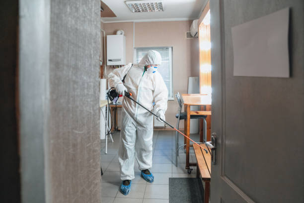 Why You Should Choose Our Mold Remediation Services in Hermiston, OR